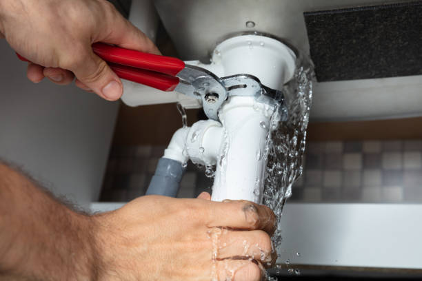 Best Professional water damage repair  in Long Beach, MD