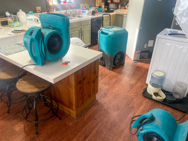 Best Ceiling water damage repair  in Long Beach, MD