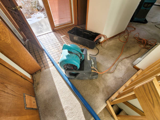 Best Carpet water damage restoration  in Long Beach, MD
