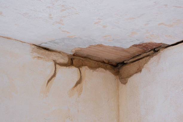 Water damage restoration mold remediation in MD