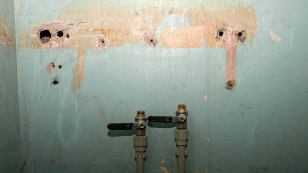 Best Fire Damage Restoration  in Long Beach, MD