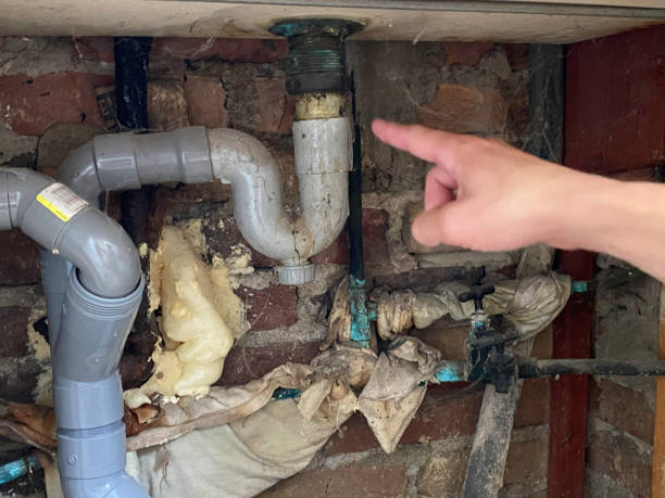 Best Flooded house restoration  in Long Beach, MD
