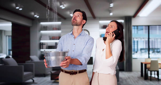 Best Flood restoration services  in Long Beach, MD