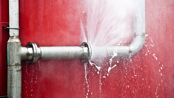 Best Mold removal after water damage  in Long Beach, MD